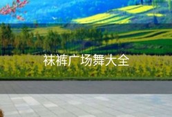 袜裤广场舞大全