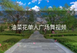 油菜花单人广场舞视频