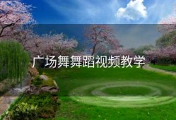 广场舞舞蹈视频教学