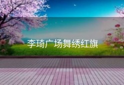 李琦广场舞绣红旗