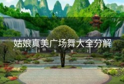 姑娘真美广场舞大全分解