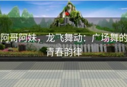 阿哥阿妹，龙飞舞动：广场舞的青春韵律