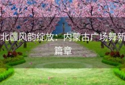 北疆风韵绽放：内蒙古广场舞新篇章