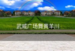 武威广场舞黄羊川