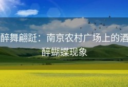 醉舞翩跹：南京农村广场上的酒醉蝴蝶现象