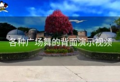 各种广场舞的背面演示视频