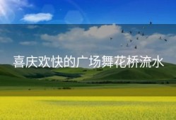 喜庆欢快的广场舞花桥流水