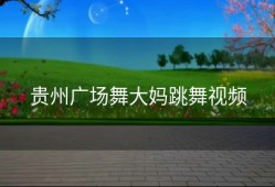 贵州广场舞大妈跳舞视频