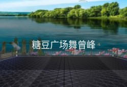 糖豆广场舞曾峰