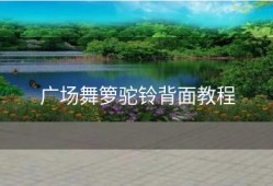 广场舞箩驼铃背面教程