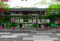 广场舞二妹养生视频