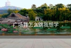 广场舞怎么跳我想学