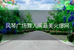 风琴广场舞人间最美火爆网