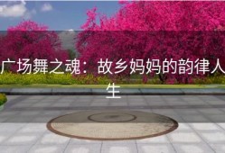 广场舞之魂：故乡妈妈的韵律人生