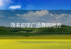 茂名初学广场舞的地方