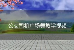 公交司机广场舞教学视频