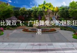 比翼双飞：广场舞鬼步的魅影狂潮
