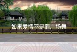 如果爱情不是罪广场舞