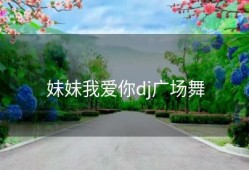 妹妹我爱你dj广场舞