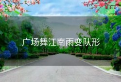 广场舞江南雨变队形