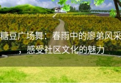 糖豆广场舞：春雨中的廖弟风采，感受社区文化的魅力