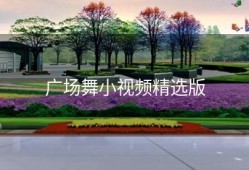 广场舞小视频精选版