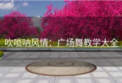 吹唢呐风情：广场舞教学大全