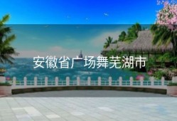 安徽省广场舞芜湖市