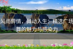 风雨醉情，舞动人生：精选广场舞的魅力与感染力