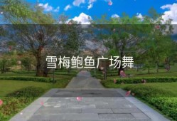 雪梅鲍鱼广场舞
