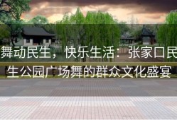 舞动民生，快乐生活：张家口民生公园广场舞的群众文化盛宴