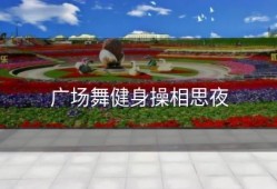 广场舞健身操相思夜