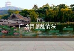 广场舞意乱情深