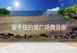 留不住的爱广场舞背面