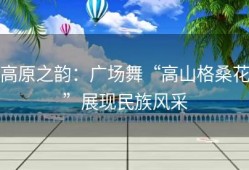 高原之韵：广场舞“高山格桑花”展现民族风采
