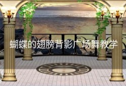 蝴蝶的翅膀背影广场舞教学