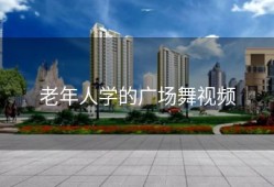 老年人学的广场舞视频