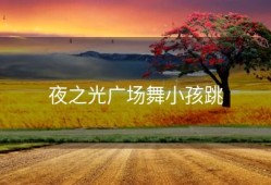 夜之光广场舞小孩跳