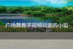 广场舞教学视频对面的小姐