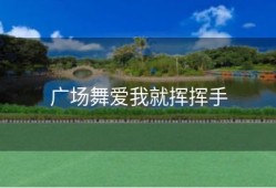 广场舞爱我就挥挥手