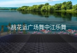 桃花运广场舞中江乐舞