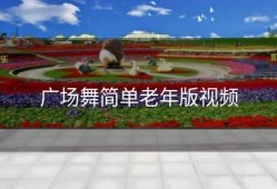 广场舞简单老年版视频