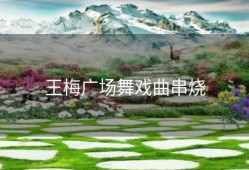 王梅广场舞戏曲串烧