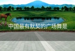 中国最有默契的广场舞是