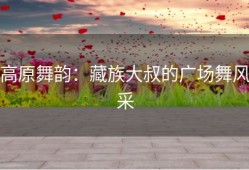 高原舞韵：藏族大叔的广场舞风采