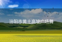 汾阳市黄土高坡广场舞