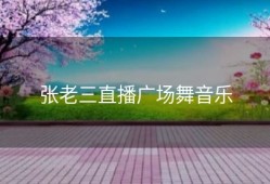 张老三直播广场舞音乐