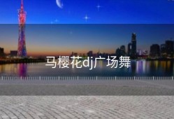马樱花dj广场舞