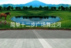 简单十二步广场舞过河