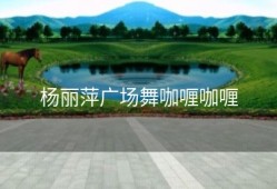 杨丽萍广场舞咖喱咖喱